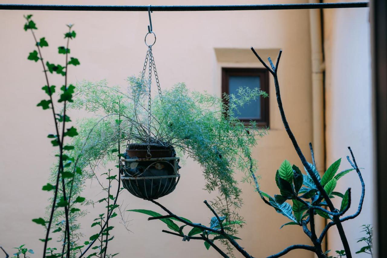 Delle Volte Apartament
